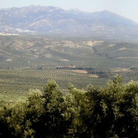 比利亚卡里略Cortijo El Derramadero别墅 外观 照片