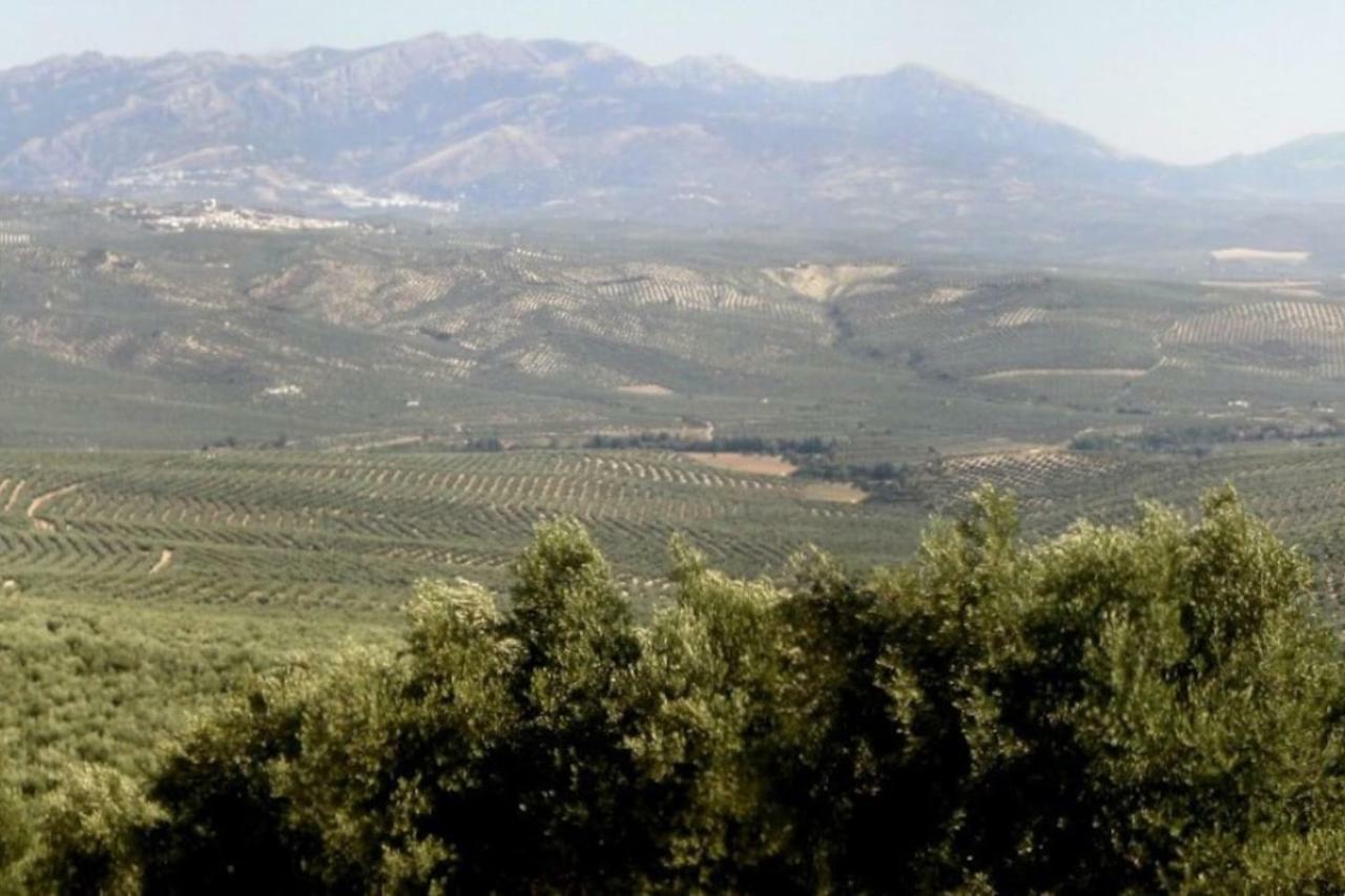 比利亚卡里略Cortijo El Derramadero别墅 外观 照片
